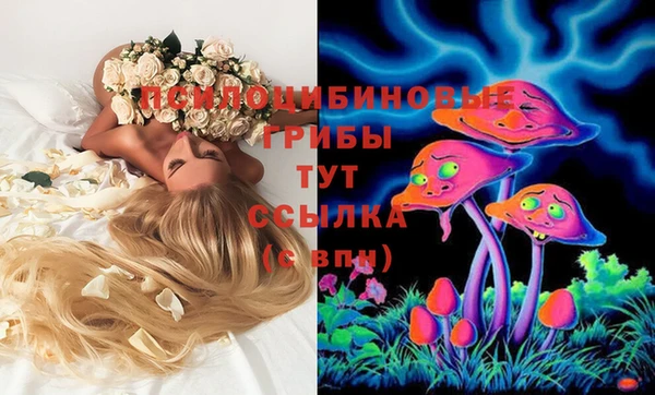 mix Аркадак