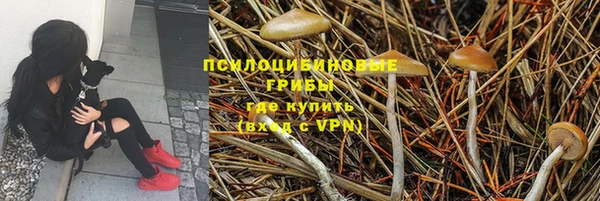 mix Аркадак