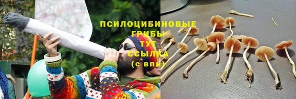 дживик Армянск