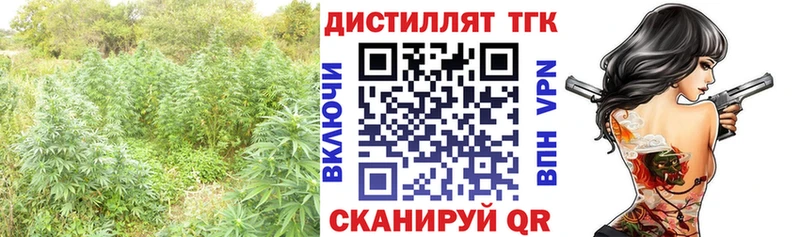 Купить закладки  Зеленокумск  Дистиллят ТГК вейп 