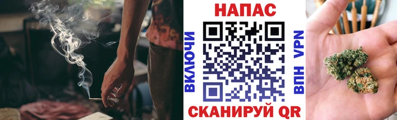 Купить где  Зеленокумск  Бошки марихуана сатива 